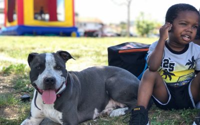 Basic Dog Training for Kids