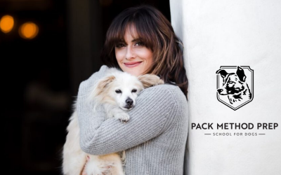 Should you send your dog to school?