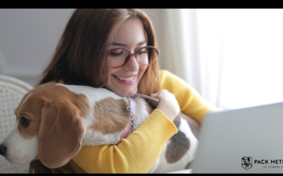 Unleash the Power of Positive Dog Training: Pack Method Prep’s Virtual Sessions